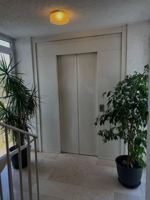 Penthouse Apartment In Kehl Bagian luar foto